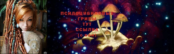 крисы Семилуки