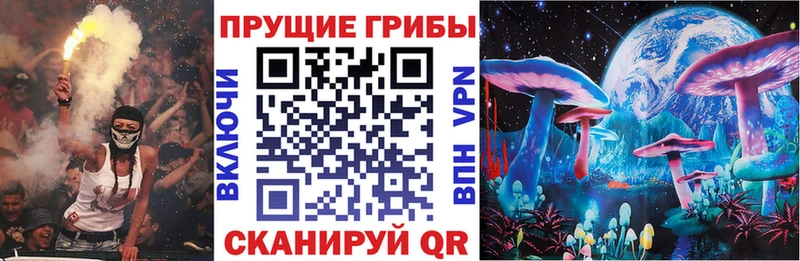 Галлюциногенные грибы Psilocybine cubensis  Можайск 